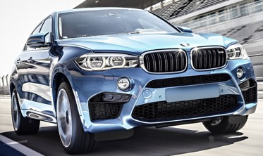 Килимок у багажник BMW X6 F16 фото