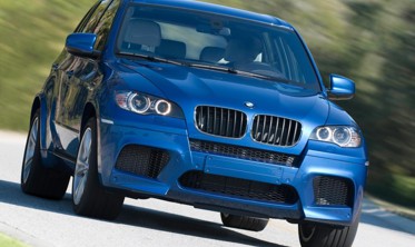 Килимок у багажник BMW X5 E70 фото