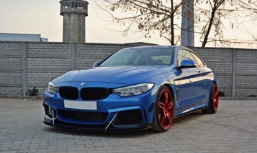 Боковые листвы под пороги Racing BMW 4 F32 M-pack фото