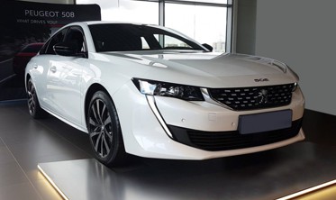 защитные накладки на пороги Peugeot 508 черные Stal фото