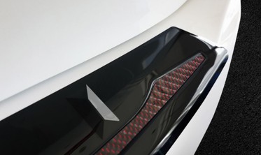 захисна накладка на бампер BMW X5 IV G-05 M-PAKIET карбон+сталь фото