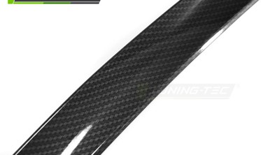 Спойлер на багажник BMW F10 стиль M5 карбон фото