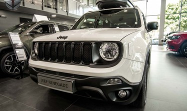 накладки на решітку радіатора для Jeep RENEGADE фото