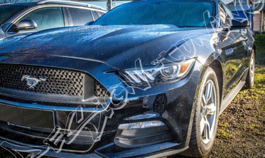 Накладки на фари (реснічки) Ford Mustang 6 абс-пластик фото