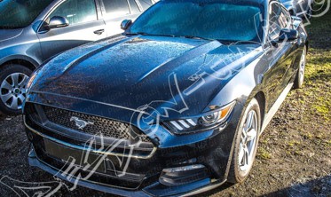 Накладки на фари (реснічки) Ford Mustang 6 абс-пластик фото