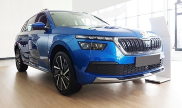 защитная накладка заднего бампера с ребрами Skoda Kamiq (Stal) фото