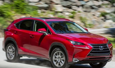 Килимок у багажник LEXUS NX з написом фото