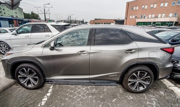 пороги (подножки боковые) LEXUS RX фото