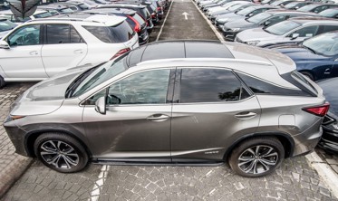 пороги (підніжки бокові) LEXUS RX фото