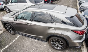пороги (підніжки бокові) LEXUS RX фото