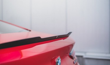 Кап-спойлер BMW 8 Coupe M-pack G15 фото