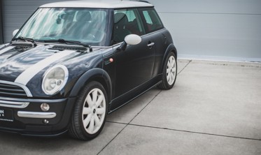 Диффузоры (листвы) на боковые пороги Mini Cooper / One R50 фото