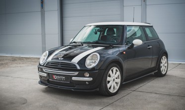Диффузоры (листвы) на боковые пороги Mini Cooper / One R50 фото