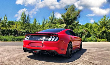 Бічні накладки під пороги Ford Mustang Mk6 рестайл фото