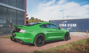 Накладки под боковые пороги Racing Ford Mustang MK6 FL версия GT фото