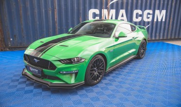 Листвы под боковые пороги Street pro Ford Mustang MK6 FL версия GT фото