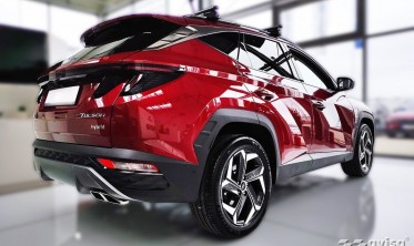 защитные накладки на порожки Hyundai Tucson 4 фото