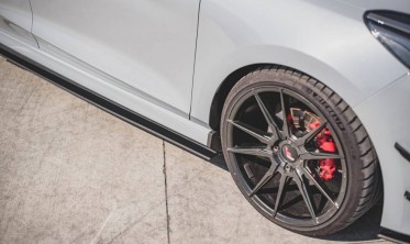 Листвы под пороги Racing Durability Ford Fiesta MK8 ST / ST-line фото
