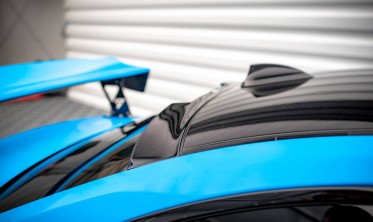 Бленда на заднє скло BMW M2 Competition F87 фото