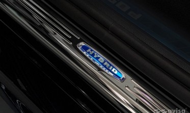 захисні накладки на внутрішні пороги BMW X6 G06 (Hybrid) фото