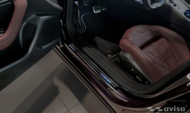 тюнінгові захисні накладки на пороги Peugeot 508 2 (Hybrid) фото