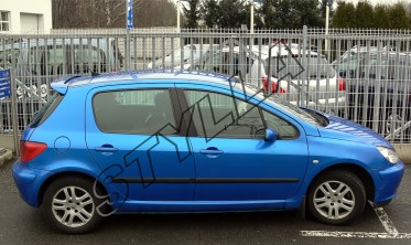 спойлер кришки багажника Peugeot 307 хетчбек фото