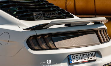 Тоновані накладки на задні ліхтарі Ford Mustang фото
