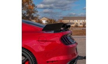 Большой задний спойлер Ford Mustang в стиле Shelby GT500 фото