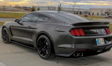 Спойлер крышки багажника Ford Mustang стиль GT350 фото