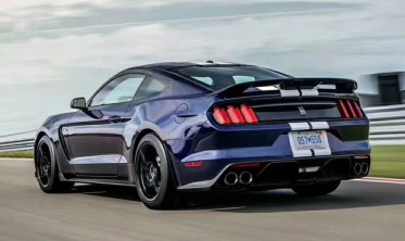 Спойлер багажника Ford Mustang стиль GT500  фото