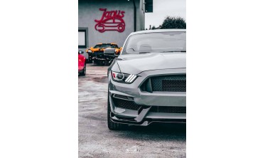 Алюминиевый капот Ford Mustang (2015-2017 V6, GT, Ecoboost) GT350 стиль фото