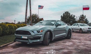 Алюминиевый капот Ford Mustang (2015-2017 V6, GT, Ecoboost) GT350 стиль фото
