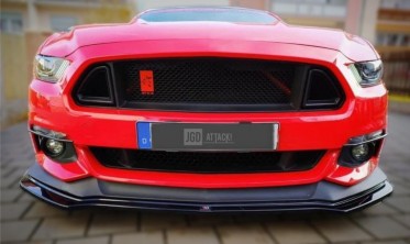 Решетка радиатора Ford Mustang (2015-2017) Ecoboost, V6, GT фото