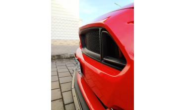 Решетка радиатора Ford Mustang (2015-2017) Ecoboost, V6, GT фото