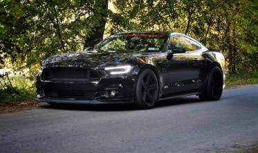 Решітка радіатора Ford Mustang (2015-2017) Ecoboost, V6, GT фото