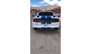 Спойлер крышки багажника Ford Mustang (2015-2021) GT F35 фото