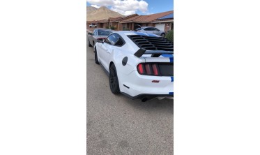 Спойлер крышки багажника Ford Mustang (2015-2021) GT F35 фото