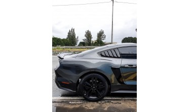 Накладки-жалюзи на боковые окна Ford Mustang фото