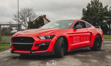 Накладки на задние крылья Ford Mustang (2015-2021) тип 2 фото