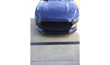 Сплиттер переднего бампера Ford Mustang 2015-2017 Ikonmotorsports фото