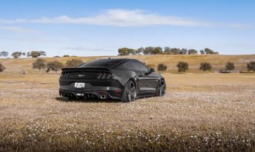 Дифузор заднього бампера Ford Mustang RTR style фото