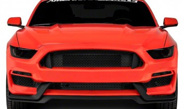 Дифузор переднього бампера Ford Mustang 2015-2017 GT350 фото
