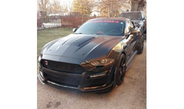 Алюминиевый капот Ford Mustang (2018-2021, GT, Ecoboost) GT500 style фото