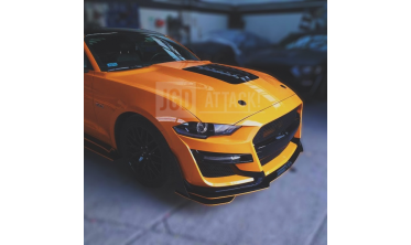 Алюмінієвий капот Ford Mustang (2018-2021, GT, Ecoboost) GT500 ikon style фото