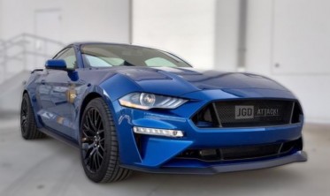 Решітка радіатора Ford Mustang (2018-2021) Ecoboost, GT фото