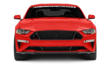 Решетка в бампер Ford Mustang (2018-2021) Ecoboost, GT фото