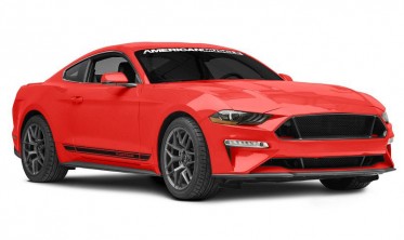 Решетка в бампер Ford Mustang (2018-2021) Ecoboost, GT фото