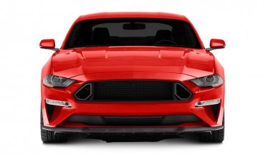 Решітка радіатора з LED Ford Mustang (2018-2021) Ecoboost, GT фото