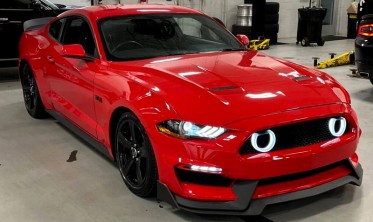 Решетка радиатора Ford Mustang (2018-2021) для бампера GT350  фото