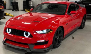 Решетка радиатора Ford Mustang (2018-2021) для бампера GT350  фото